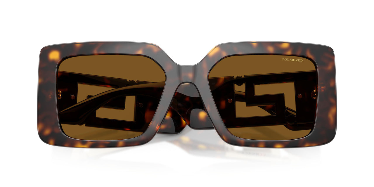 108/83 - Tortoise - Brown Polar