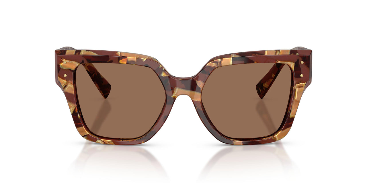 346273 - Brown - Dark Brown