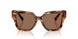 346273 - Brown - Dark Brown