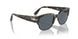 1071R5 - Tortoise - Blue