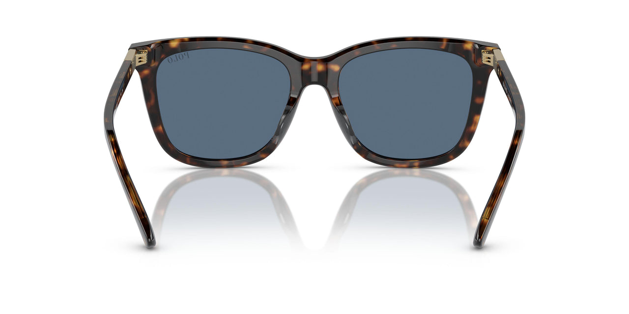 500380 - Brown - Blue