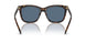 500380 - Brown - Blue