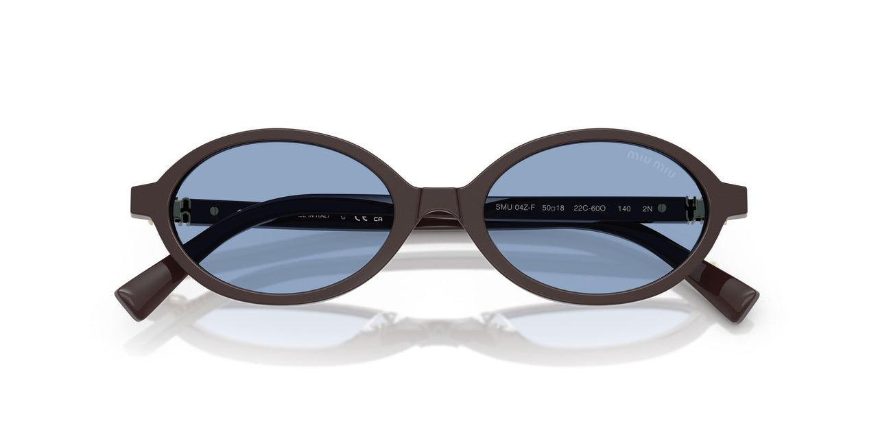 22C60O - Brown - Light Blue