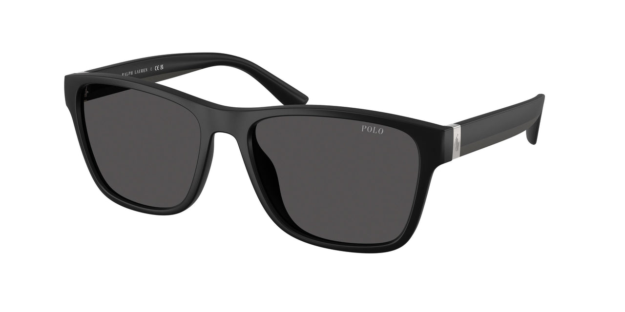 Polo 4229U Sunglasses