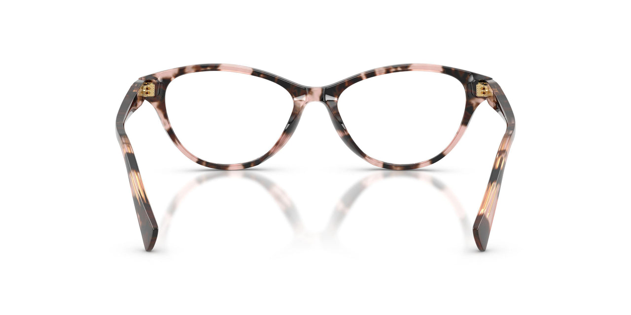 6058 - Tortoise