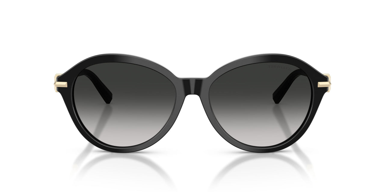 80013C - Black - Gray Gradient