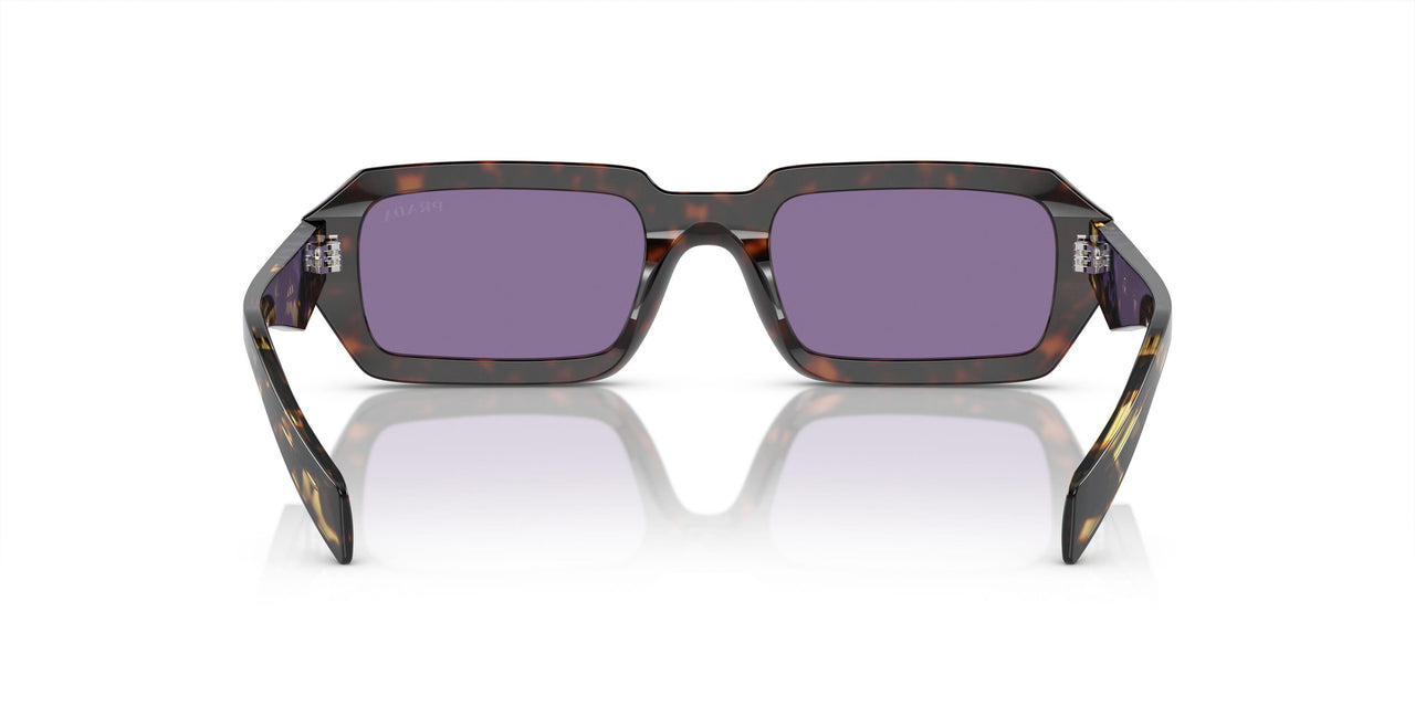 17N50B - Tortoise - Violet Mirror Silver Internal