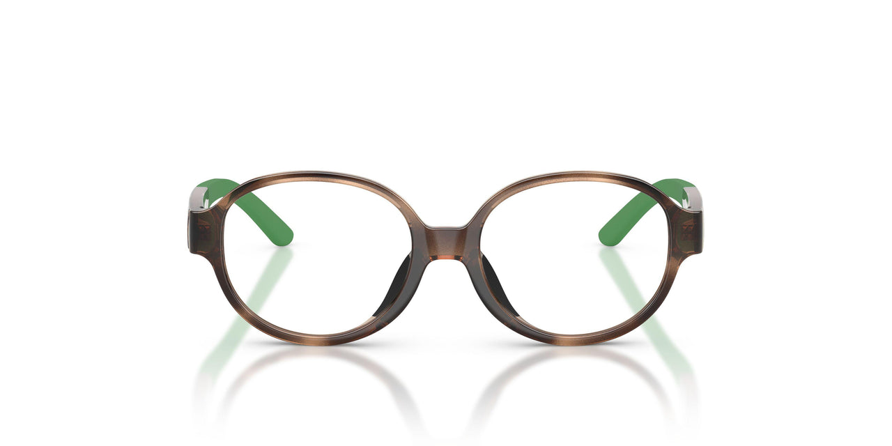 5003 - Tortoise