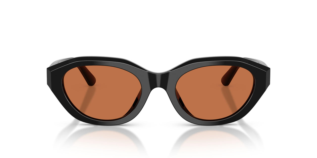 500173 - Black - Brown