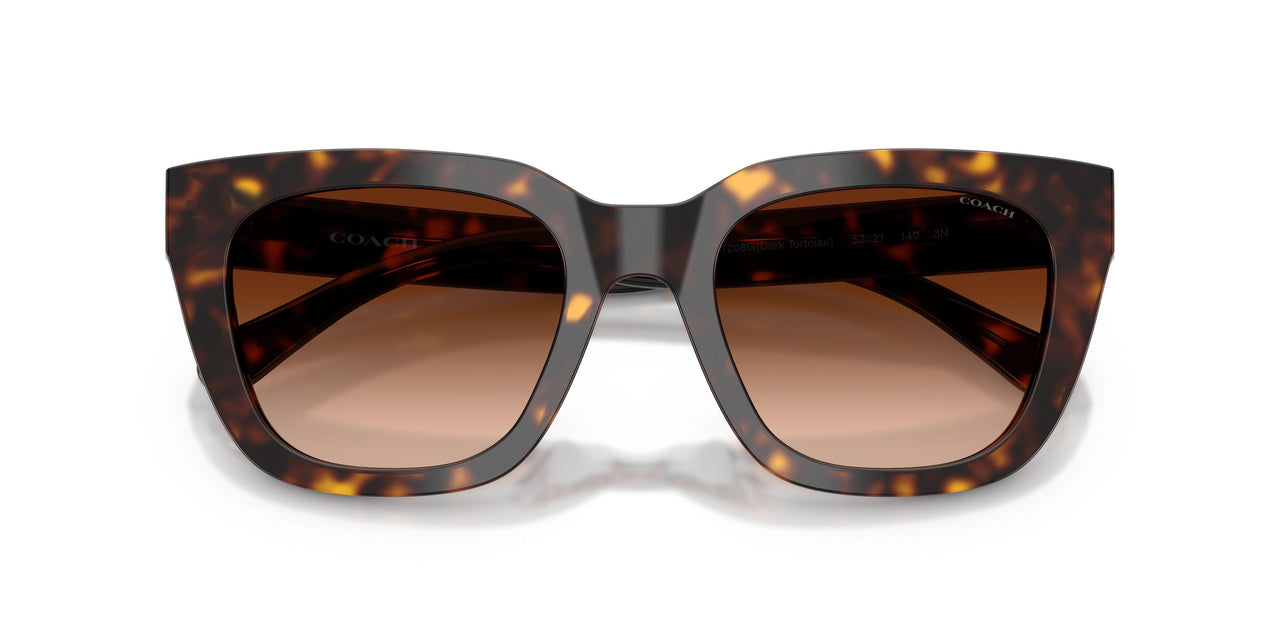 51208G - Tortoise - Brown Gradient
