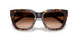 51208G - Tortoise - Brown Gradient
