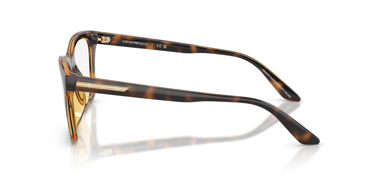 50261W - Tortoise - Clear