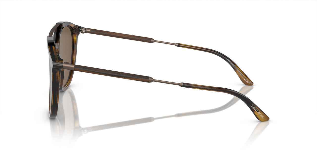 603773 - Tortoise - Dark Brown