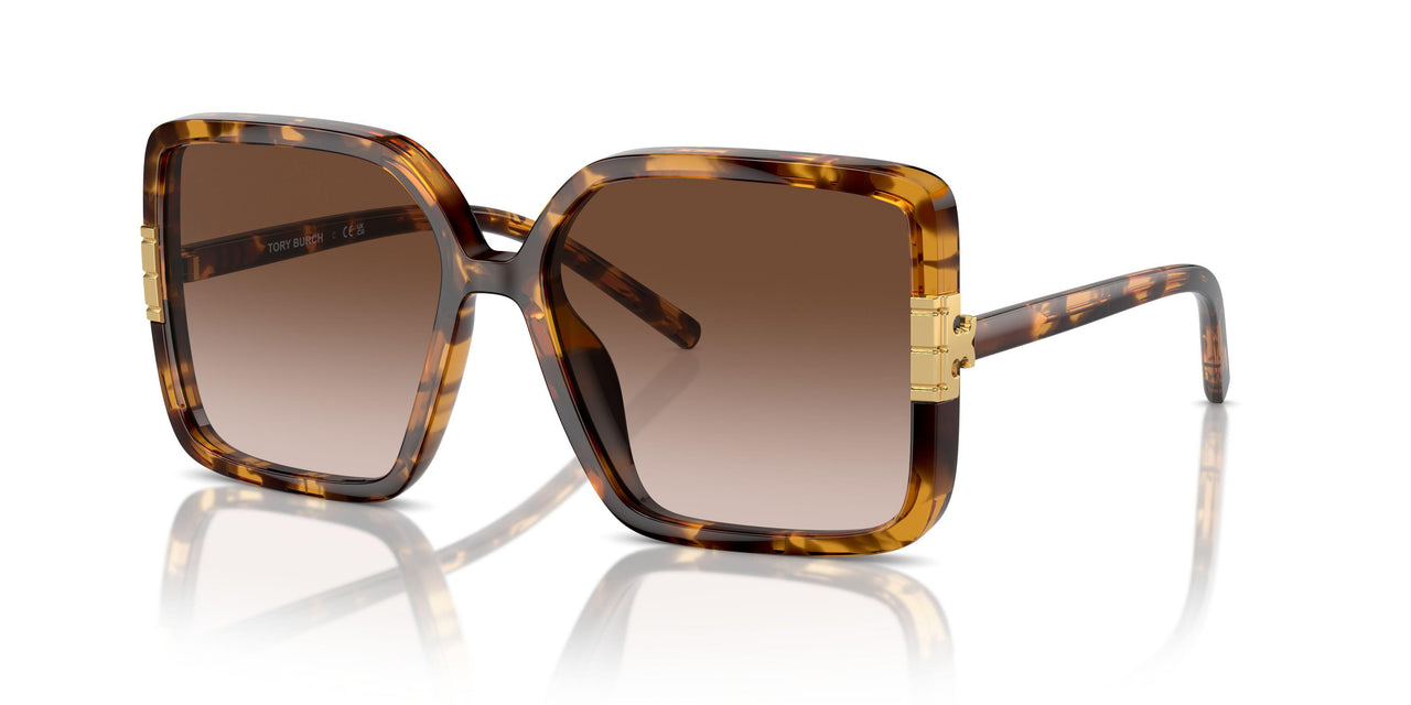 199213 - Tortoise - Light Brown Gradient