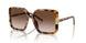 199213 - Tortoise - Light Brown Gradient