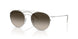 304513 - Silver - Gradient Brown