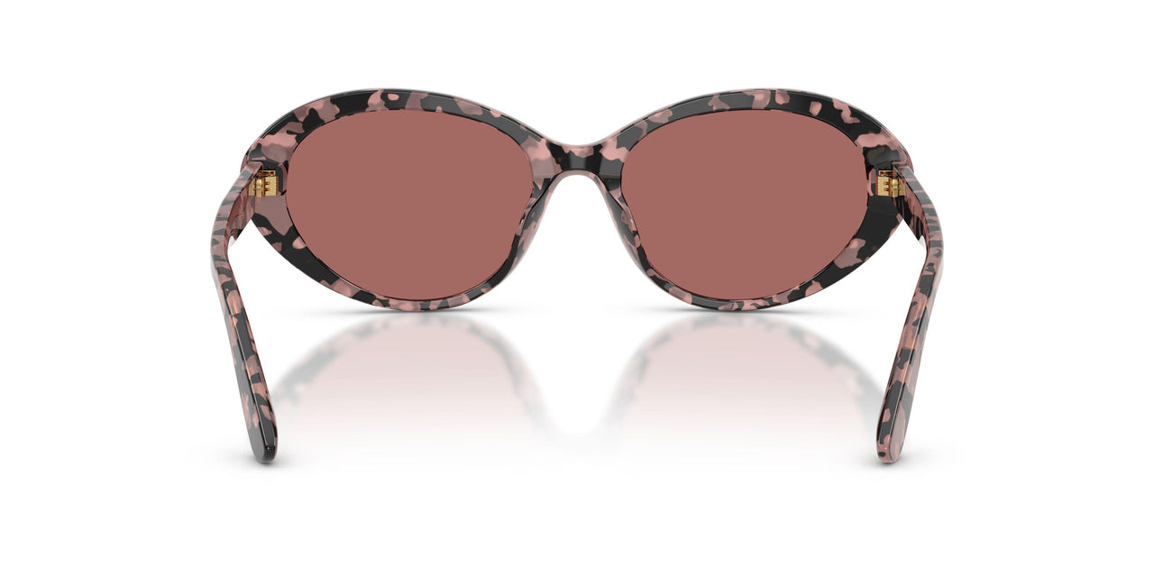 347669 - Tortoise - Dark Violet