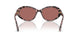 347669 - Tortoise - Dark Violet