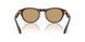 619473 - Brown - Brown
