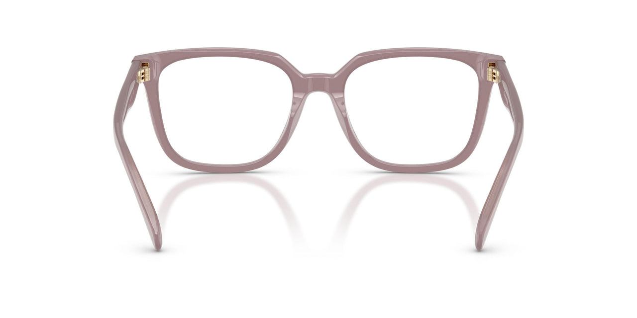 5495 - Brown
