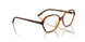 W656 - Brown