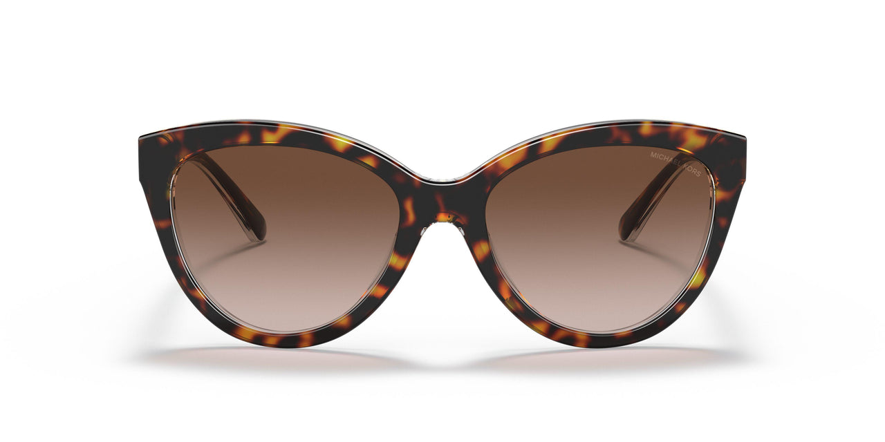 310213 - Havana - Brown Gradient