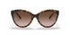 310213 - Havana - Brown Gradient