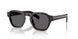 17N731 - Tortoise - Dark Grey