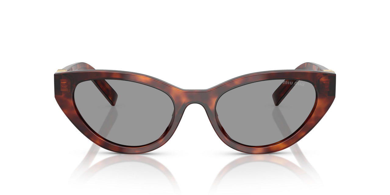 21C40O - Tortoise - Grey