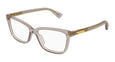 008 - Brown - Transparent