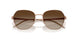 340013 - Brown - Brown Gradient