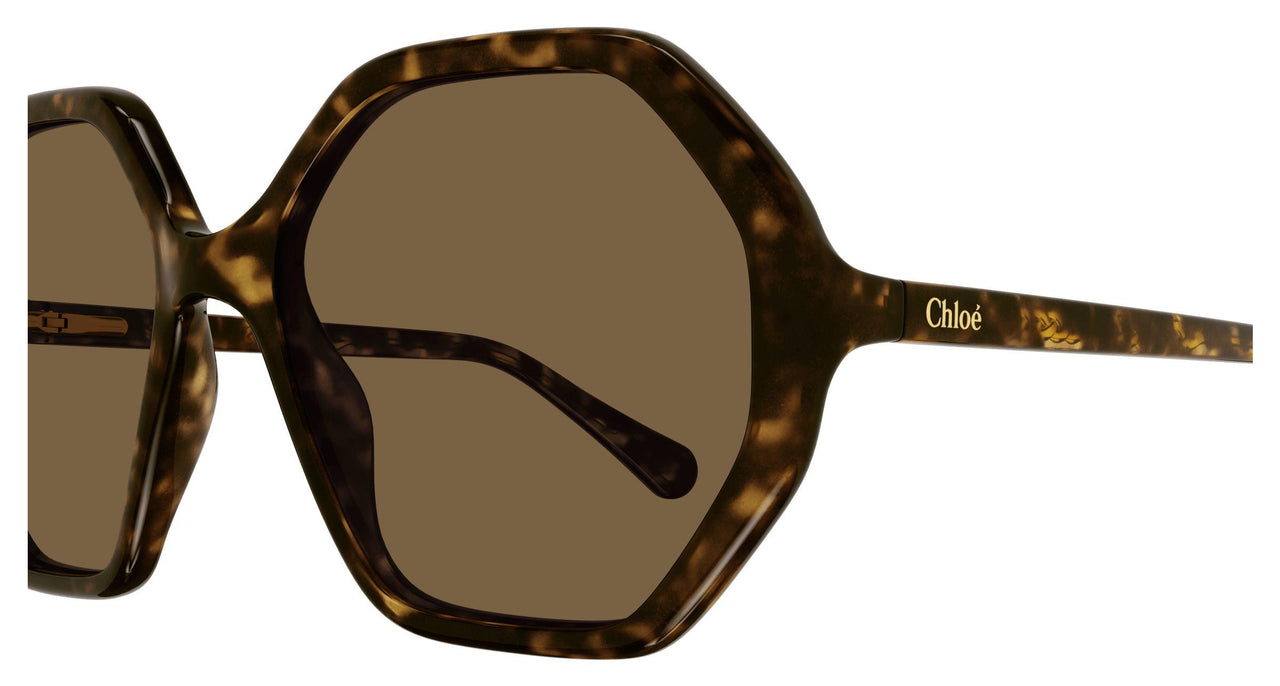 008 - Havana - Brown