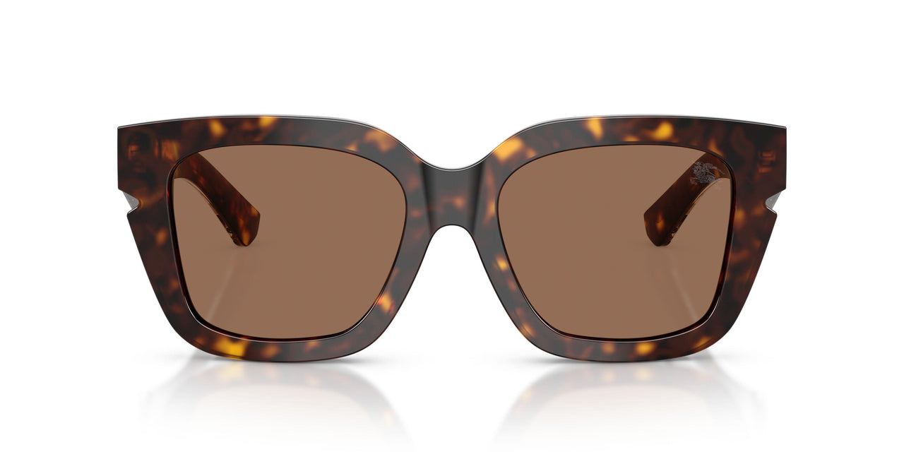 300273 - Brown - Dark Brown