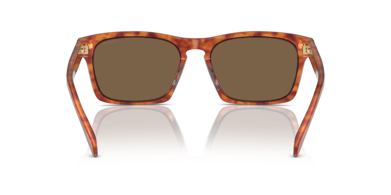 577473 - Tortoise - Brown Solid