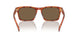 577473 - Tortoise - Brown Solid