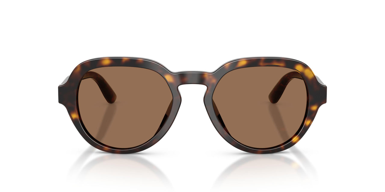 502/73 - Tortoise - Dark Brown