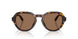 502/73 - Tortoise - Dark Brown