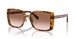 512013 - Tortoise - Brown Pink Gradient