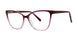 Modern Plastics II DREAMY Eyeglasses