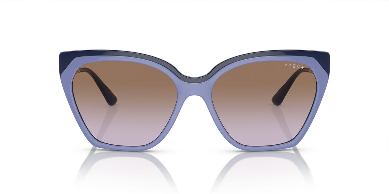 310268 - Violet - Violet Gradient Brown