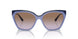 310268 - Violet - Violet Gradient Brown