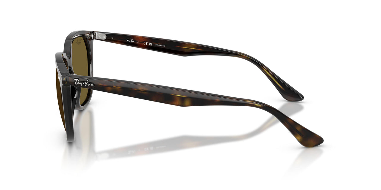 710/73 - Havana - Dark Brown