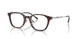 2003 - Tortoise