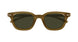 003 - Brown - Green