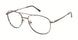 New Globe M573 Eyeglasses