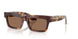 100773 - Tortoise - Brown