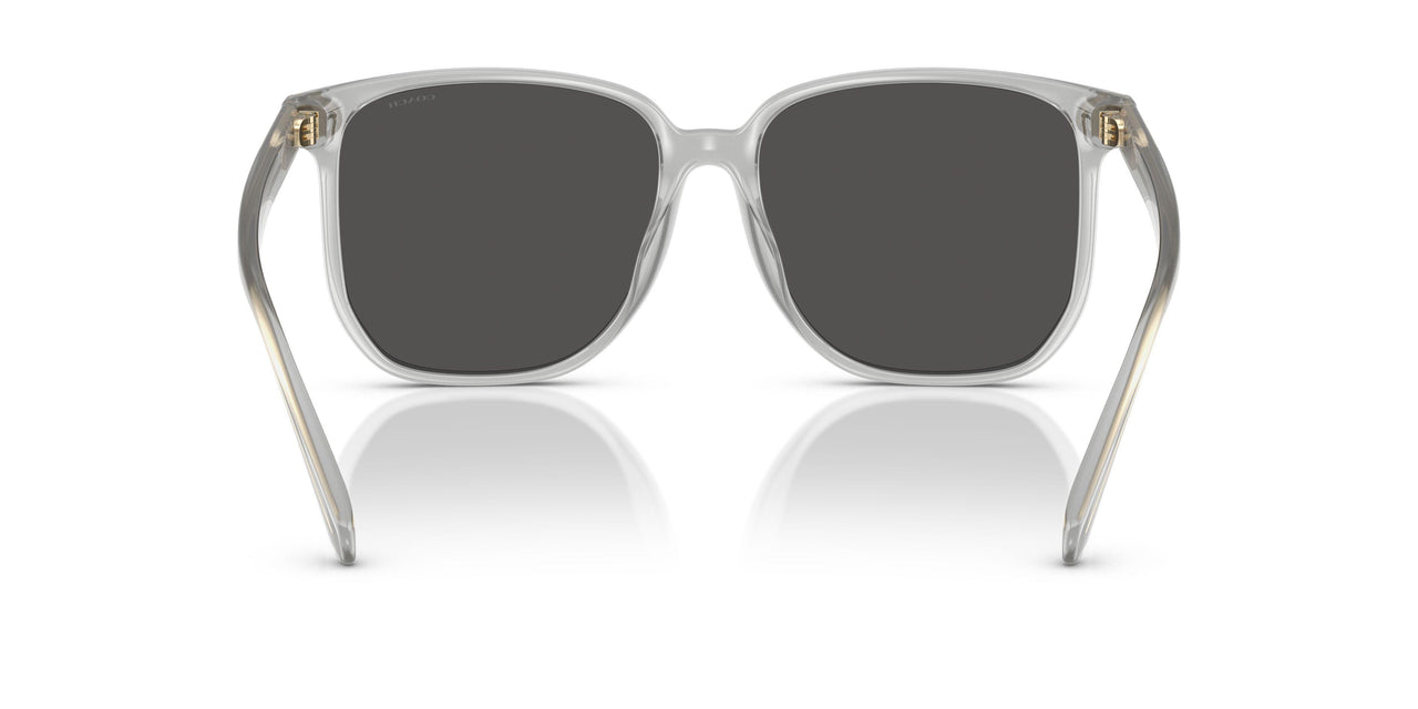 561487 - Transparent - Grey Solid