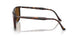 902/57 - Tortoise - Brown Polar