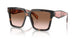 23A0A6 - Tortoise - Brown Gradient