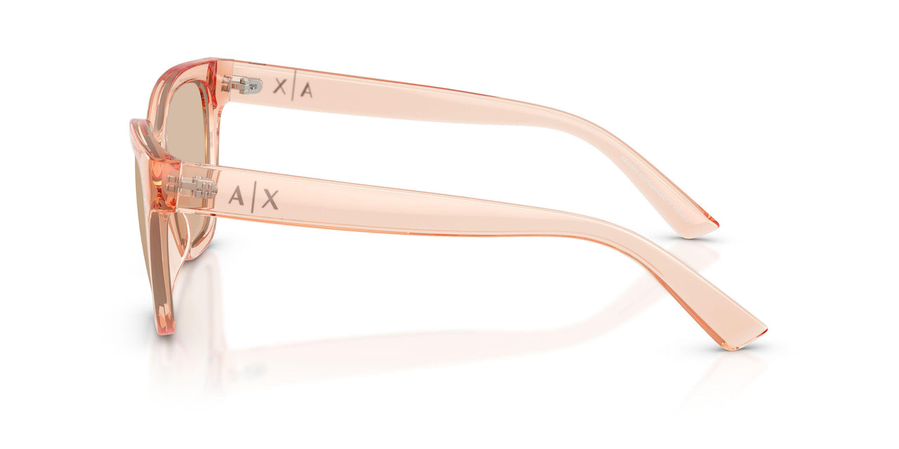 839593 - Pink - Light Brown